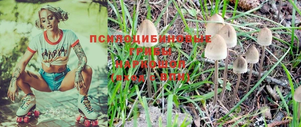 прущий лед Надым